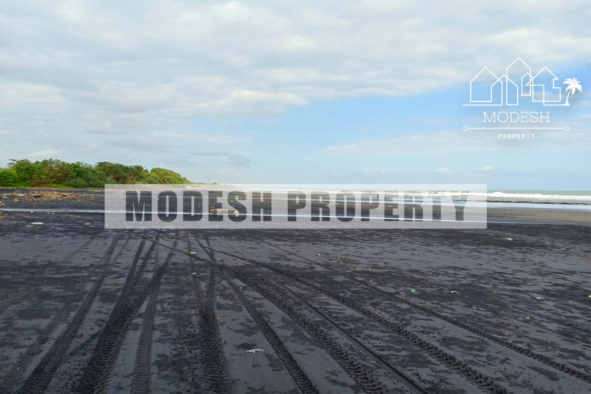 Land,Freehold Sale,1283