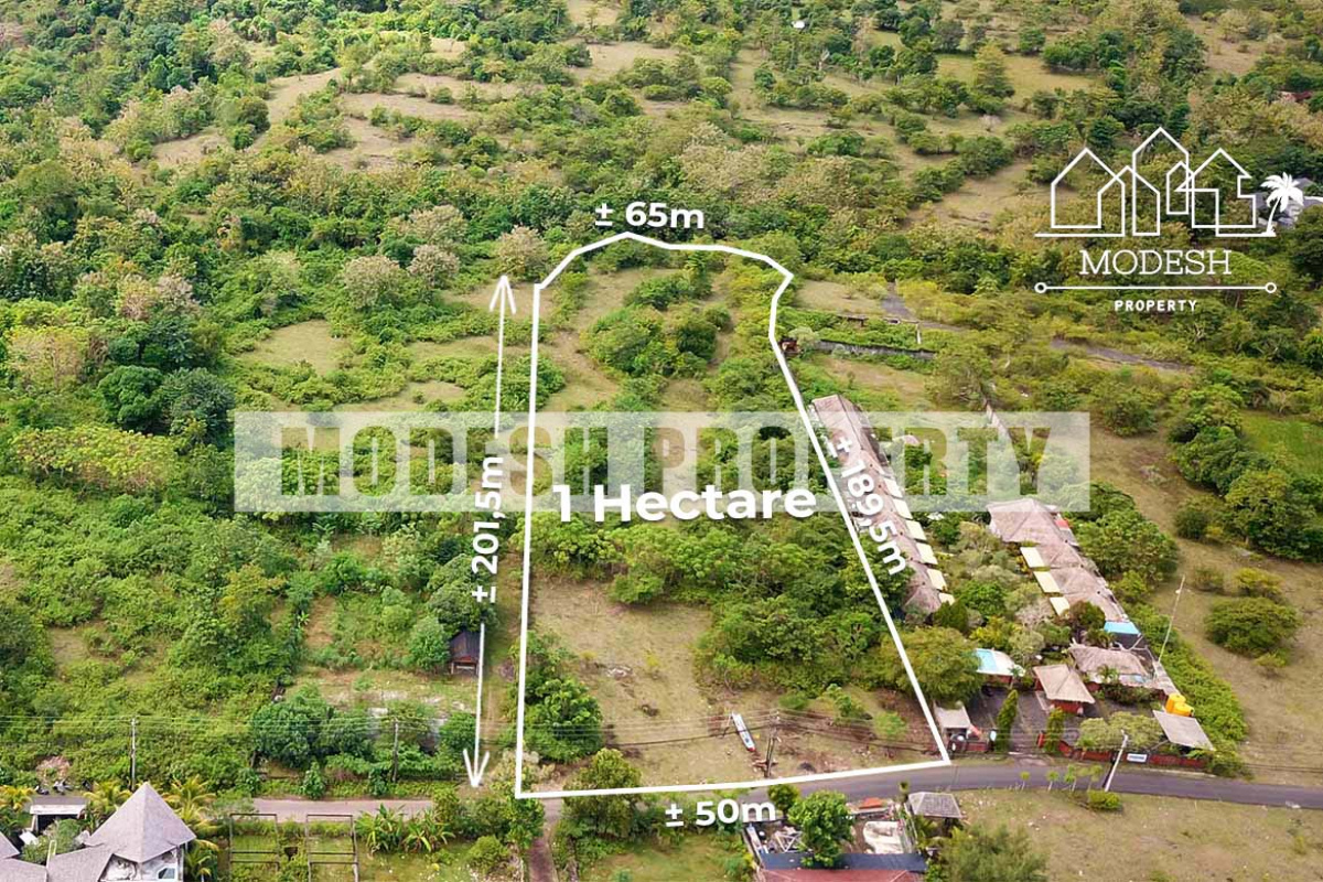 Land,Freehold Sale,1299