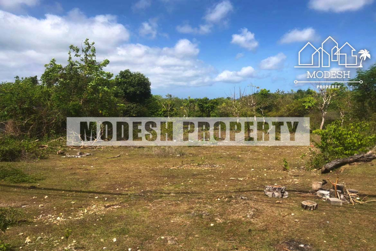Land,Freehold Sale,1299