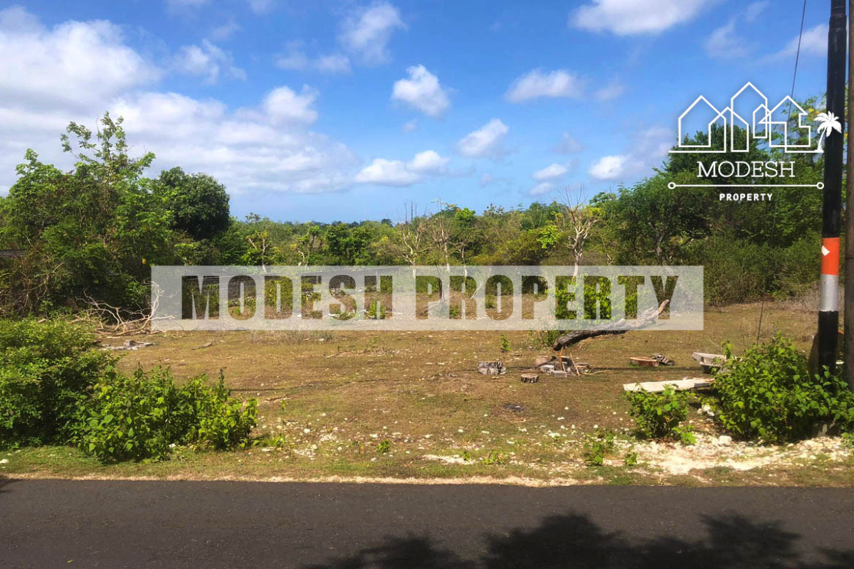 Land,Freehold Sale,1299