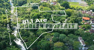 Land,Leasehold Sale,1309