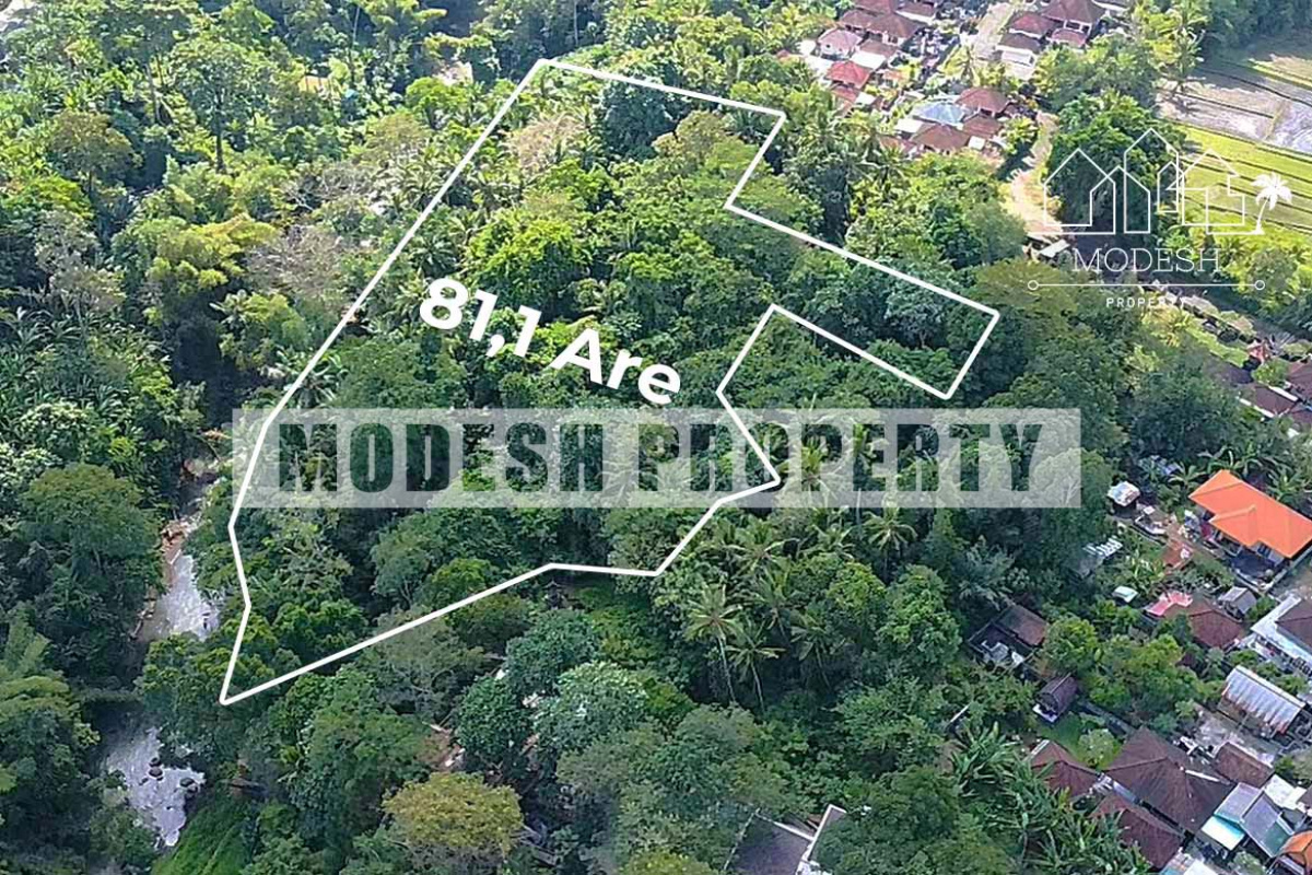 Land,Leasehold Sale,1309