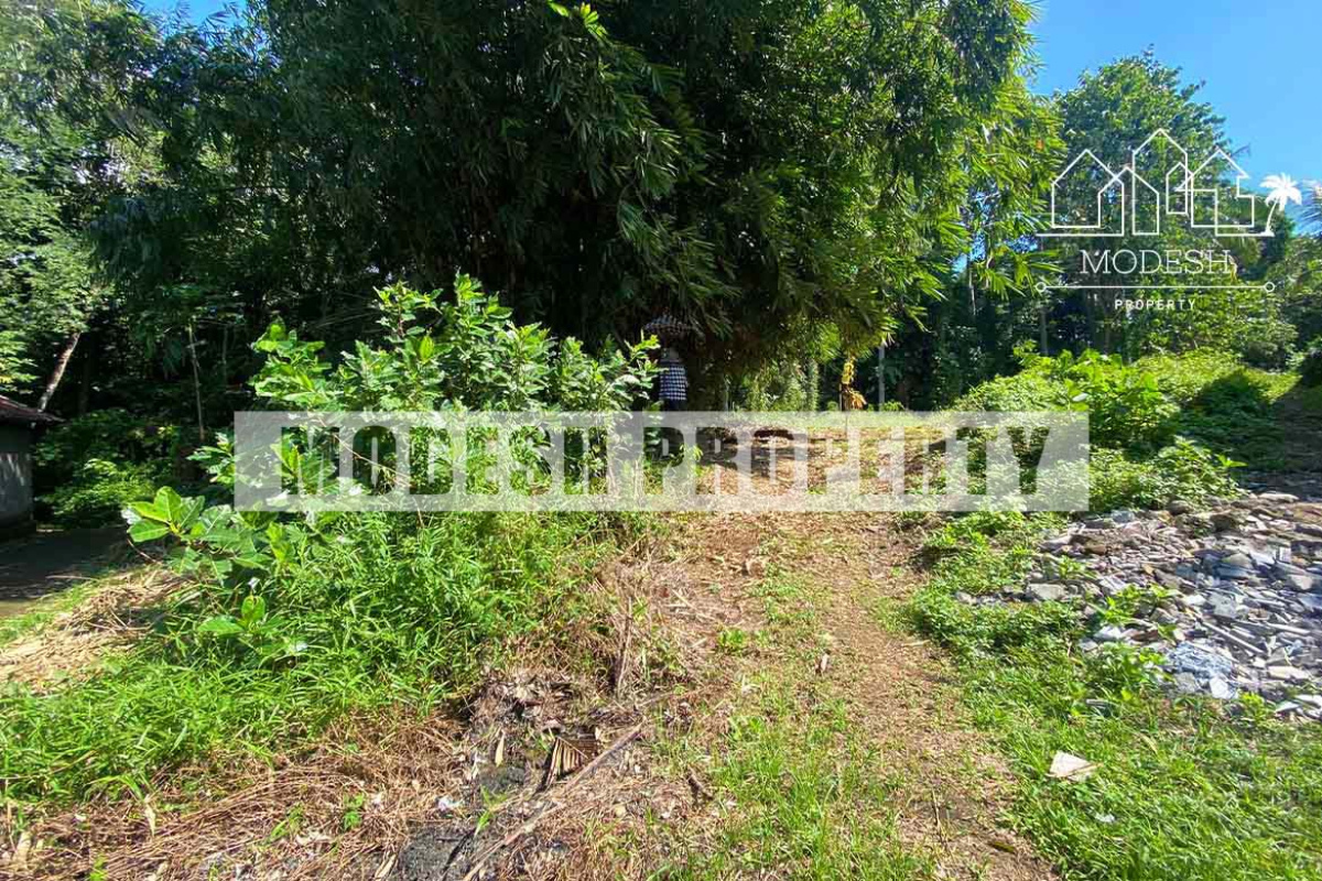 Land,Leasehold Sale,1309