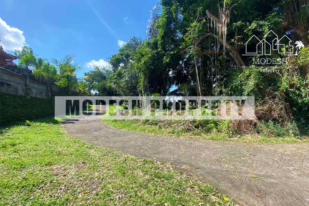 Land,Leasehold Sale,1309