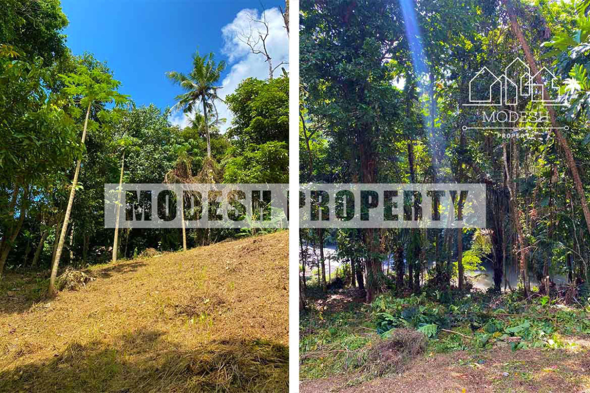 Land,Leasehold Sale,1309