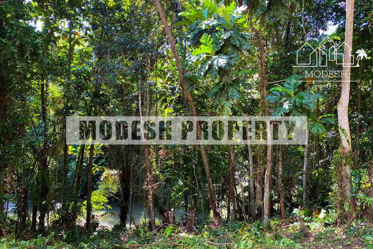 Land,Leasehold Sale,1309