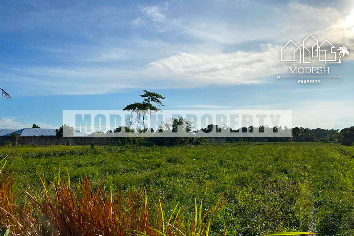 kaba-kaba, ,Land,Freehold Sale,kaba-kaba,1313