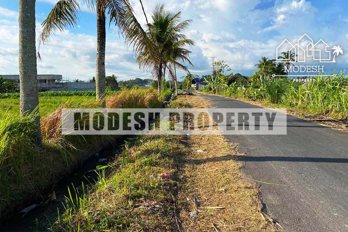 kaba-kaba, ,Land,Freehold Sale,kaba-kaba,1313