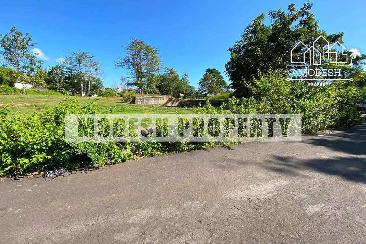 Land,Freehold Sale,1315
