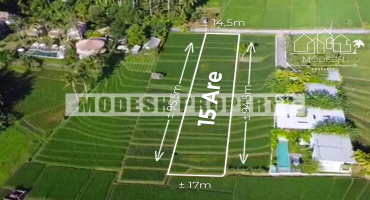 Beraban, Kediri, Tabanan Regency, Bali, ,Land,Leasehold Sale,Beraban, Kediri, Tabanan Regency, Bali,1318