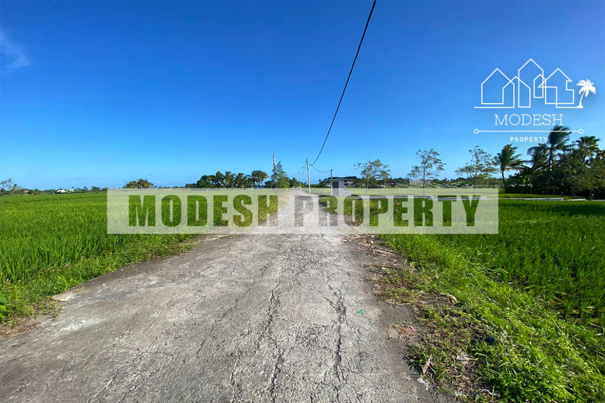 Beraban, Kediri, Tabanan Regency, Bali, ,Land,Leasehold Sale,Beraban, Kediri, Tabanan Regency, Bali,1318