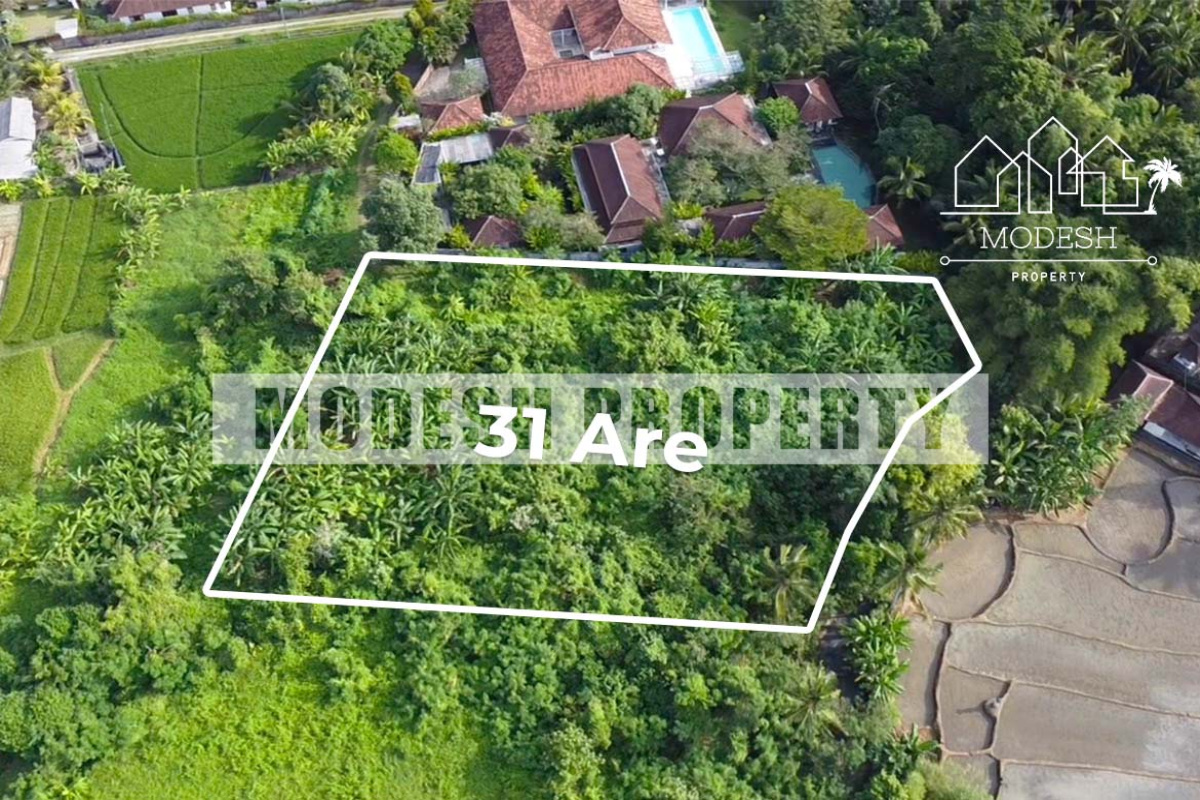 Land,Leasehold Sale,1320