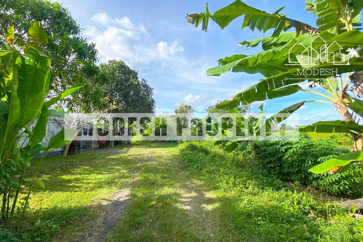 Land,Leasehold Sale,1320