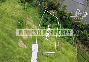 tanah lot, ,Land,Freehold Sale,tanah lot,1330
