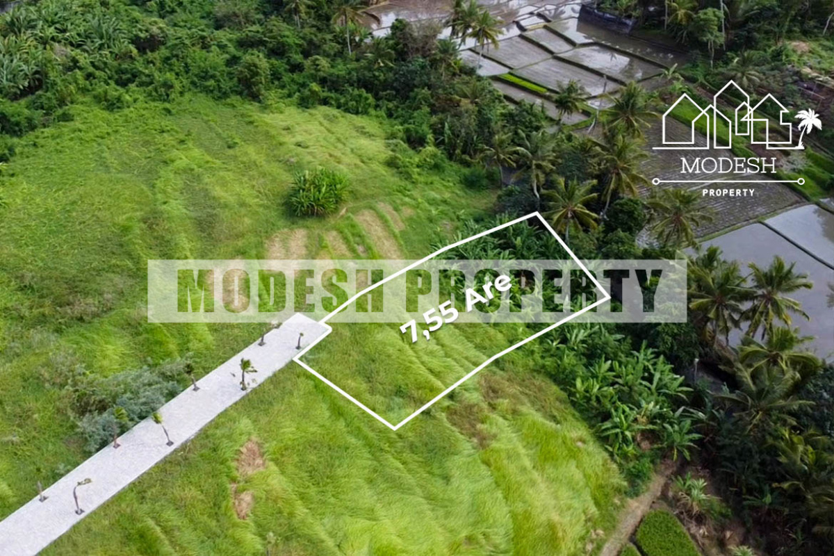 tanah lot, ,Land,Freehold Sale,tanah lot,1330