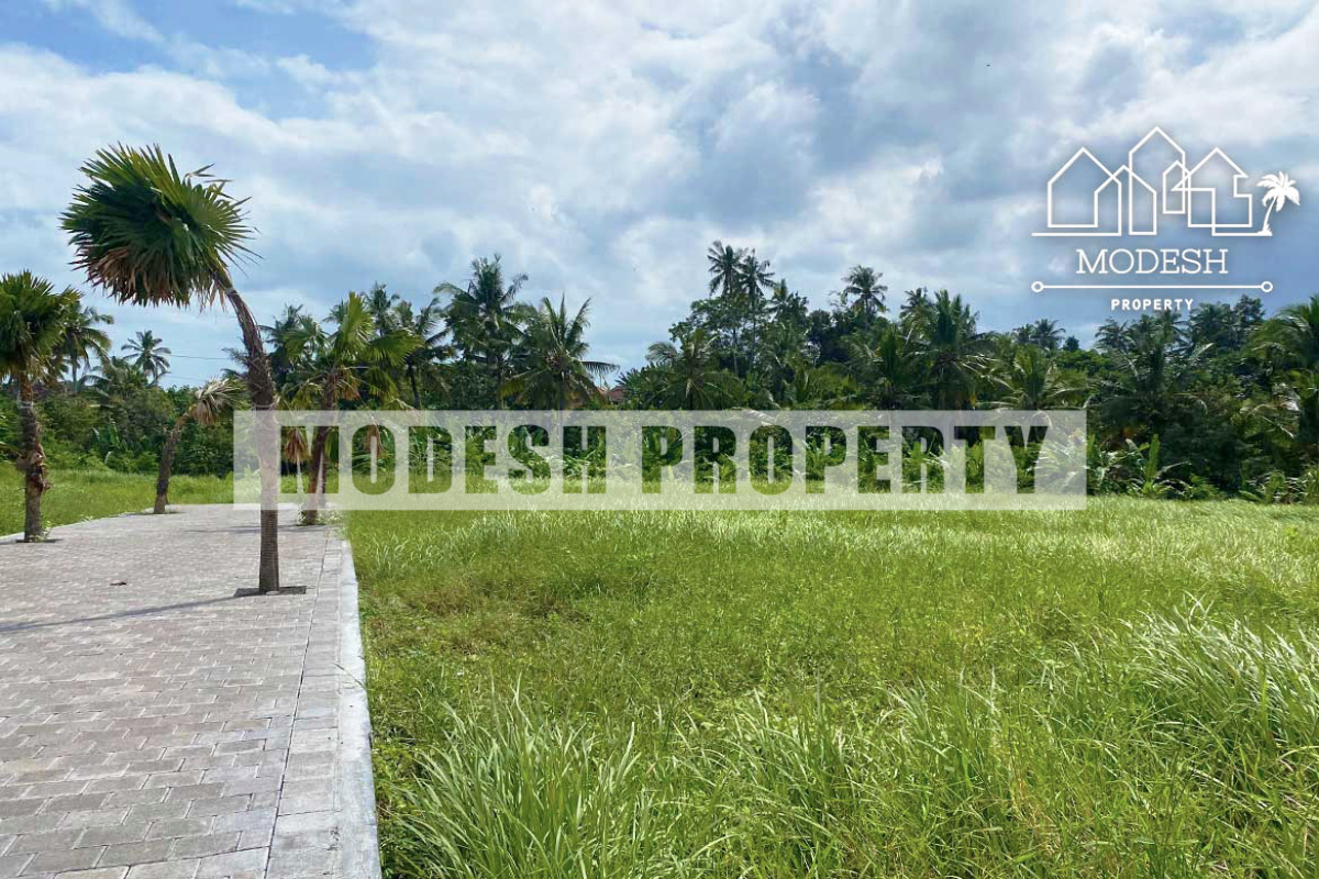 tanah lot, ,Land,Freehold Sale,tanah lot,1330