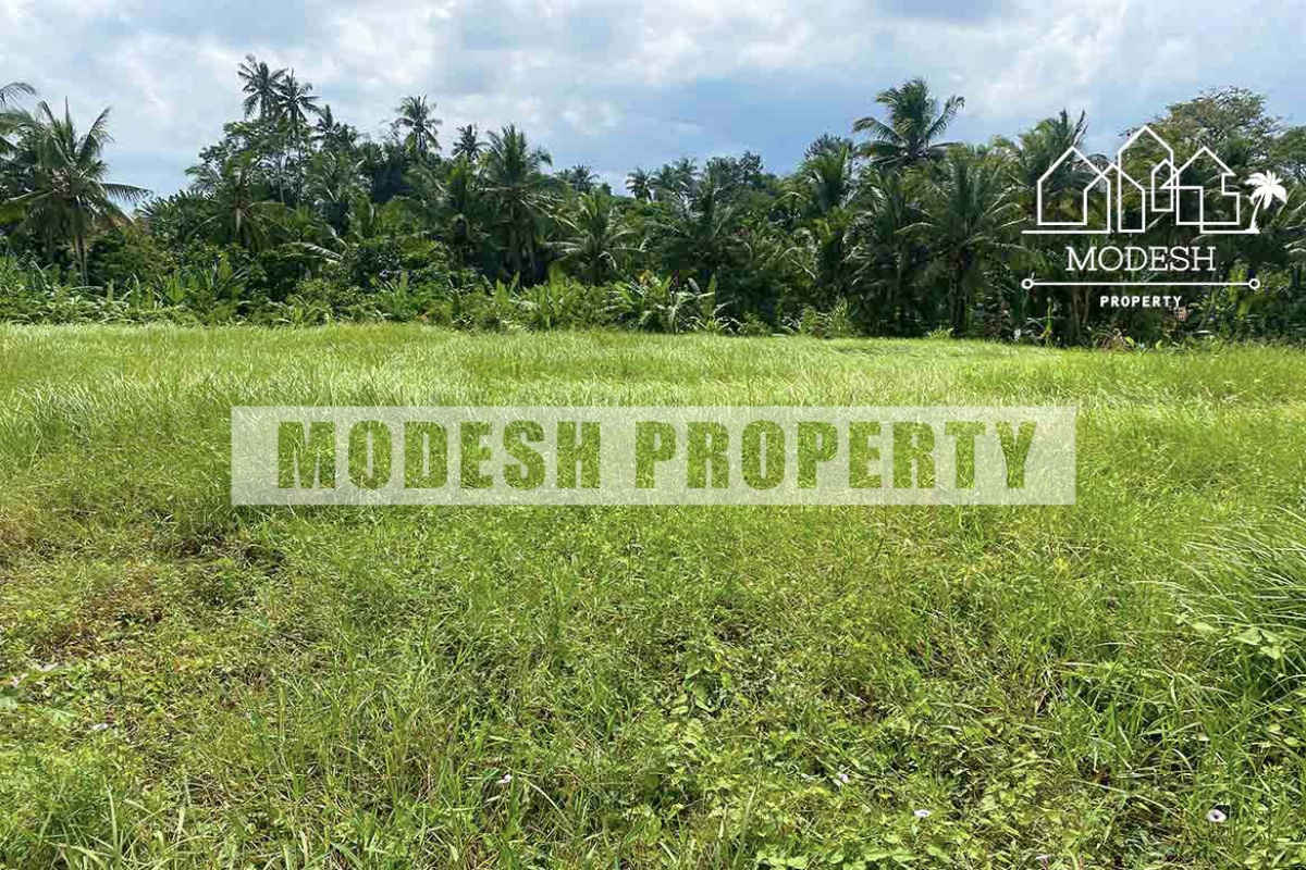 tanah lot, ,Land,Freehold Sale,tanah lot,1330