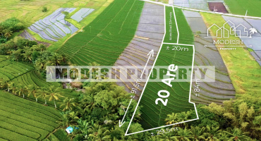 pantai cinta kedungu, ,Land,Freehold Sale,pantai cinta kedungu ,1331