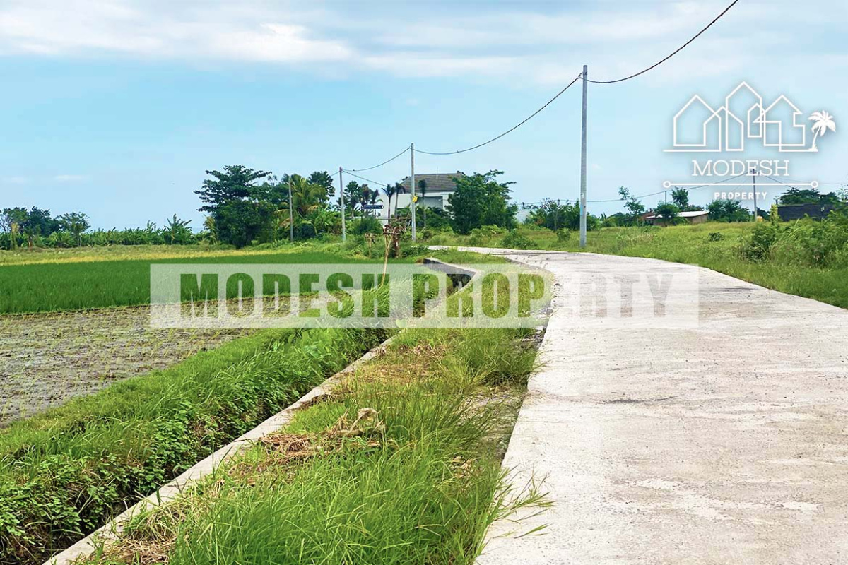 pantai cinta kedungu, ,Land,Freehold Sale,pantai cinta kedungu ,1331