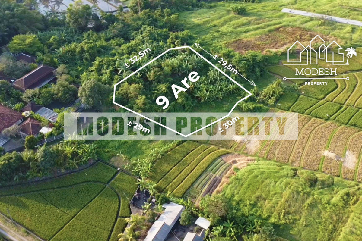 Land,Freehold Sale,1334