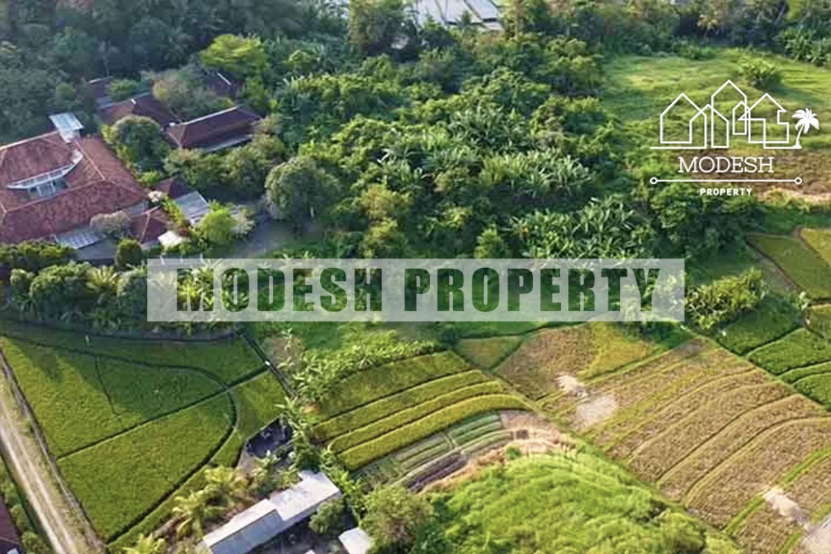 Land,Freehold Sale,1334