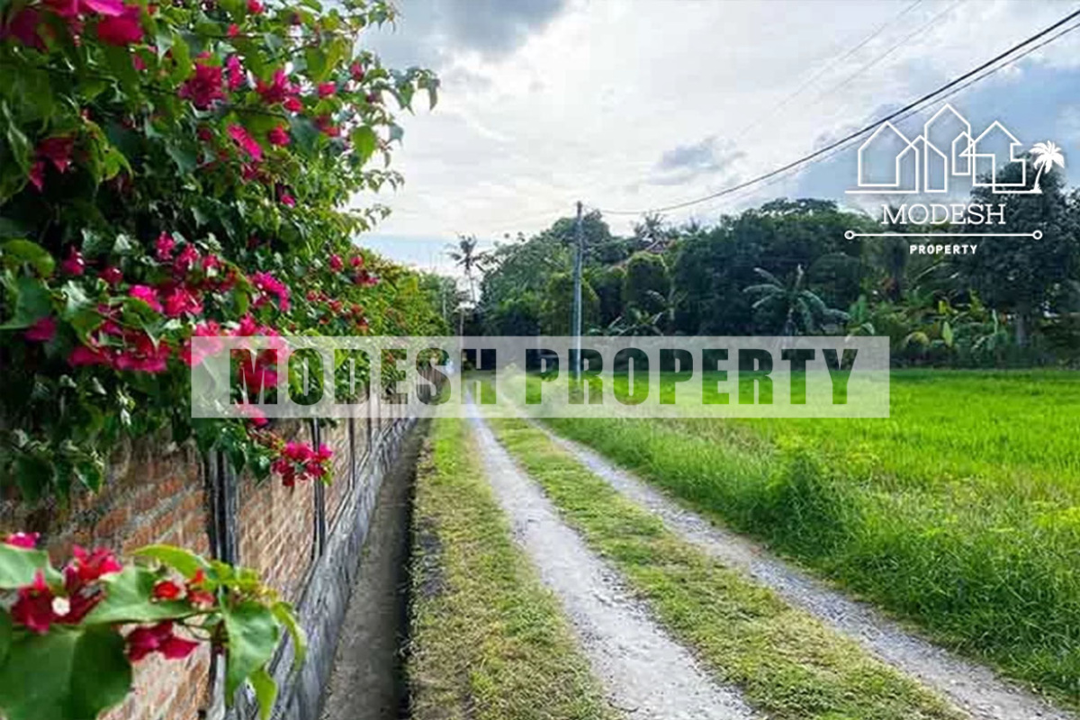 Land,Freehold Sale,1334