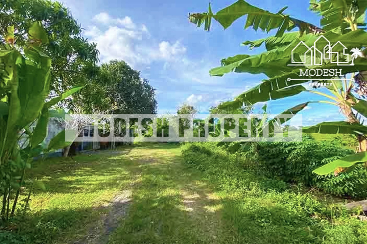 Land,Freehold Sale,1334