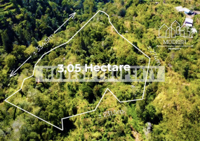 Land,Freehold Sale,1338