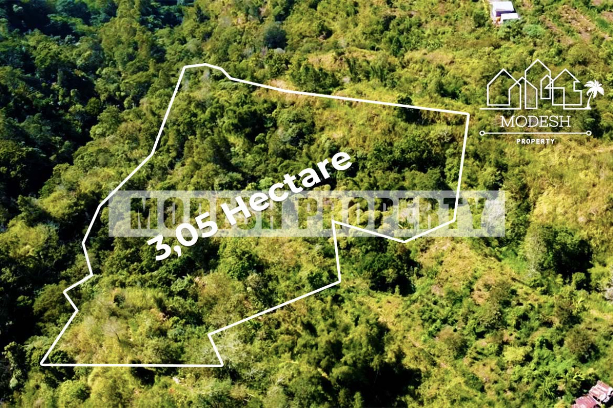 Land,Freehold Sale,1338