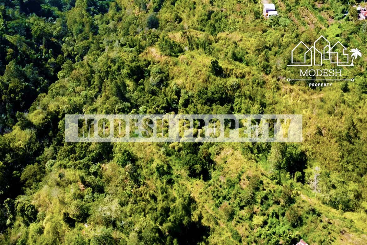 Land,Freehold Sale,1338