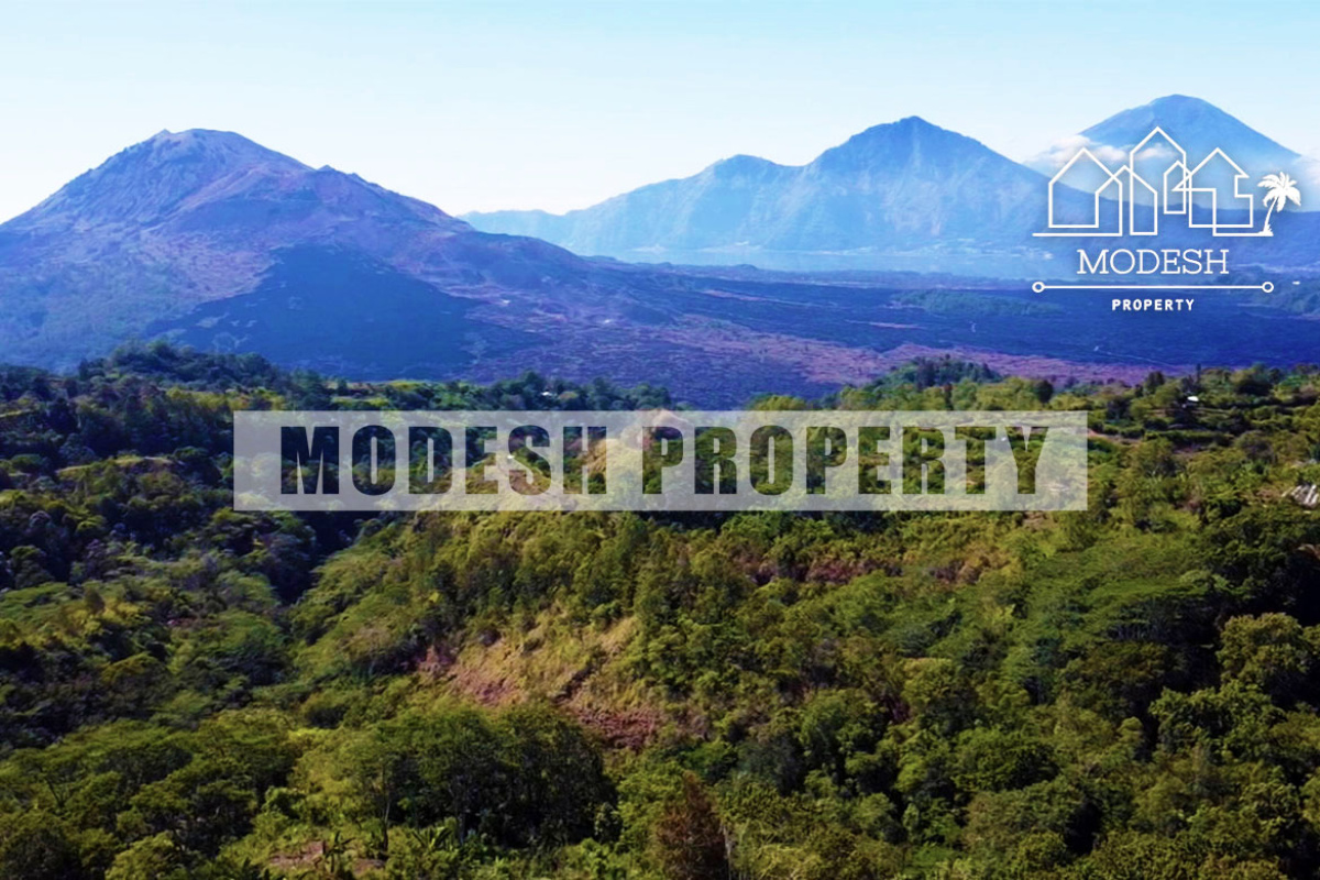 Land,Freehold Sale,1338