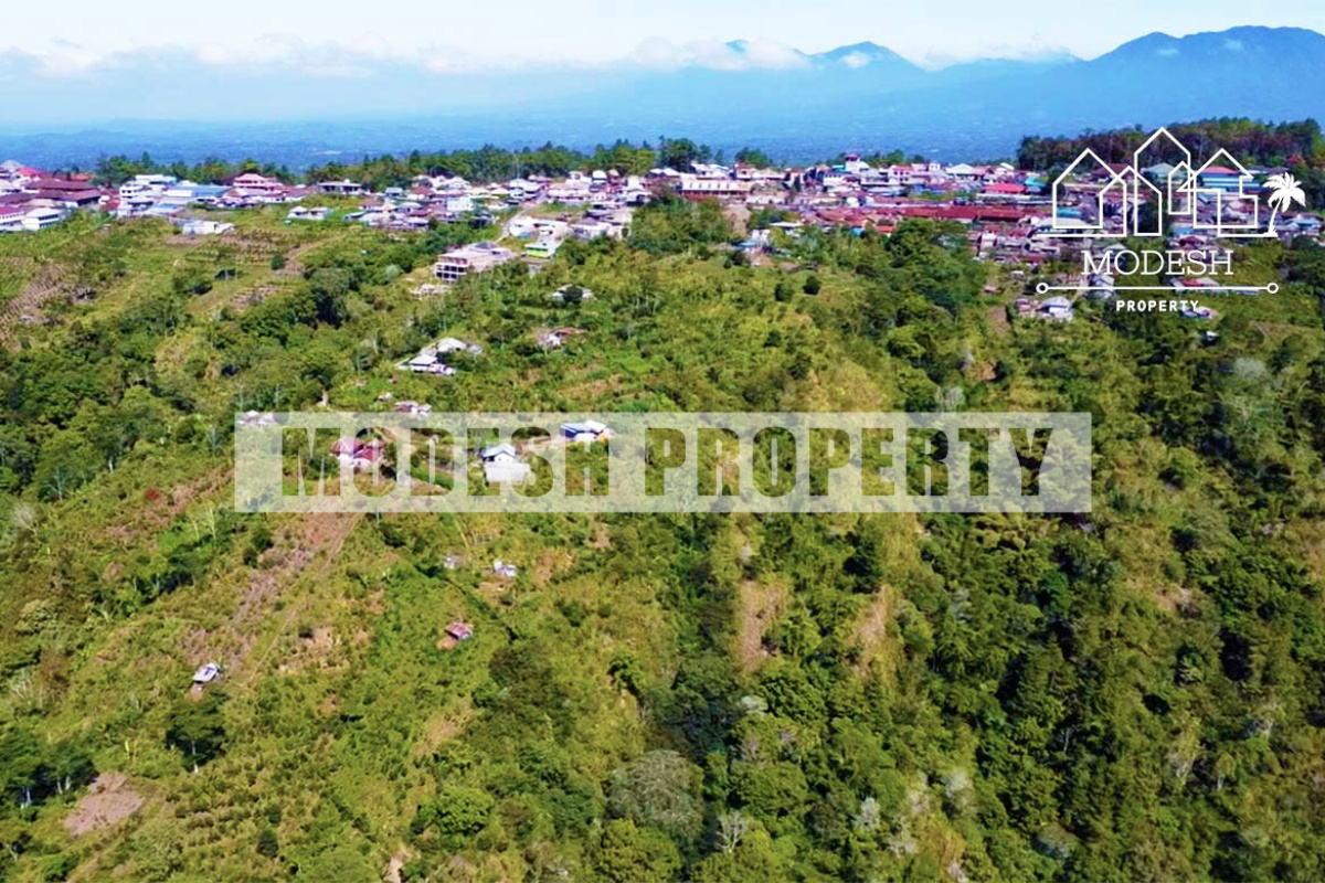 Land,Freehold Sale,1338