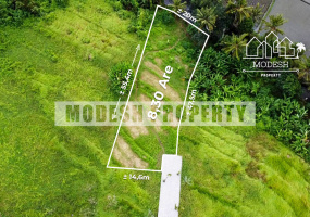 Land,Freehold Sale,1339