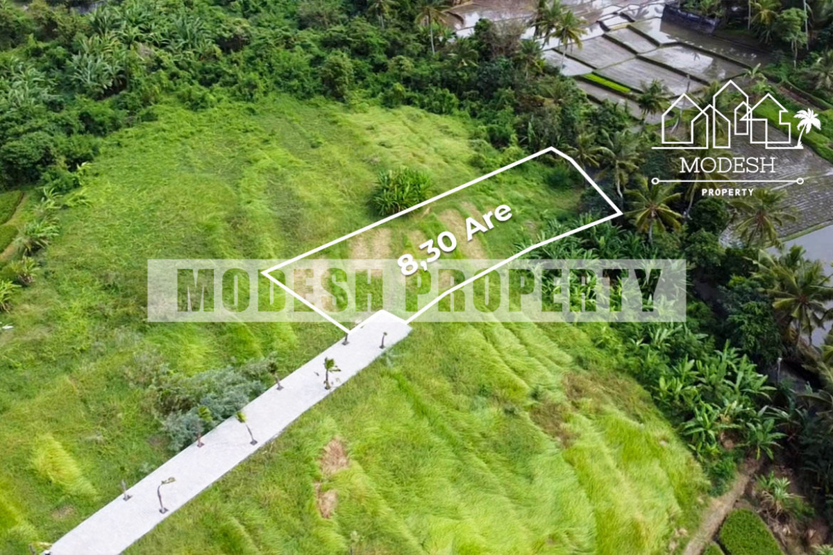 Land,Freehold Sale,1339