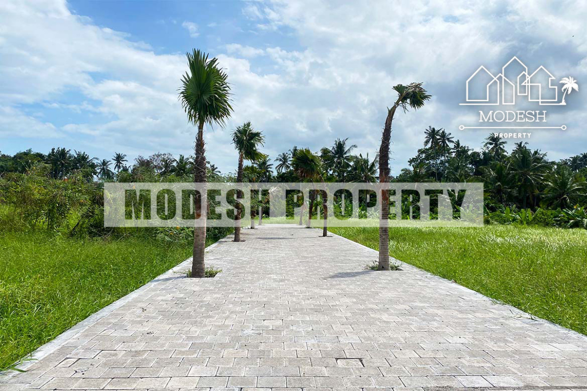 Land,Freehold Sale,1339
