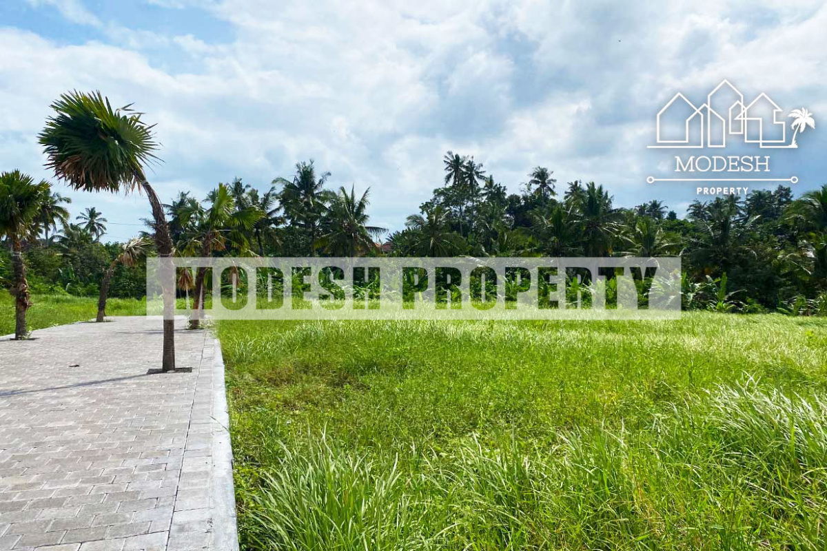 Land,Freehold Sale,1339