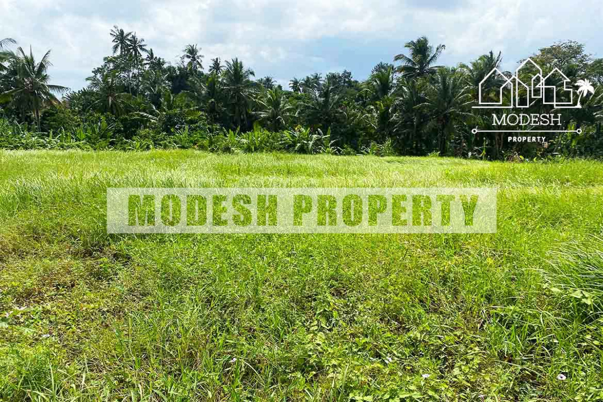 Land,Freehold Sale,1339
