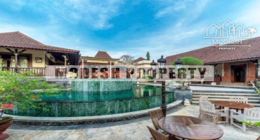 Jl. kayu tulang utara, Canggu, 5 Bedrooms Bedrooms, ,5 BathroomsBathrooms,Villa,Yearly Rent,Jl. kayu tulang utara, Canggu,1344