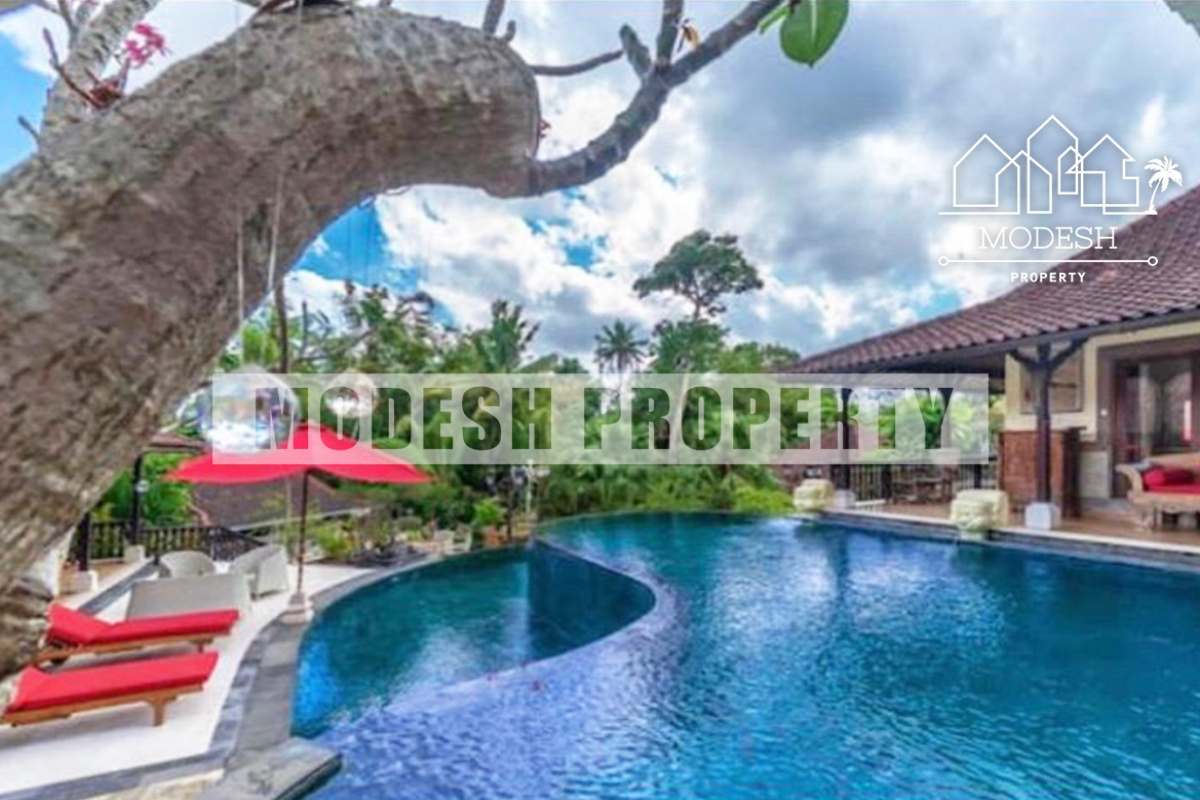 Jl. kayu tulang utara, Canggu, 5 Bedrooms Bedrooms, ,5 BathroomsBathrooms,Villa,Yearly Rent,Jl. kayu tulang utara, Canggu,1344