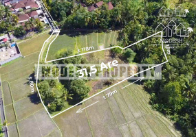 tabanan, ,Land,Freehold Sale,tabanan,1345