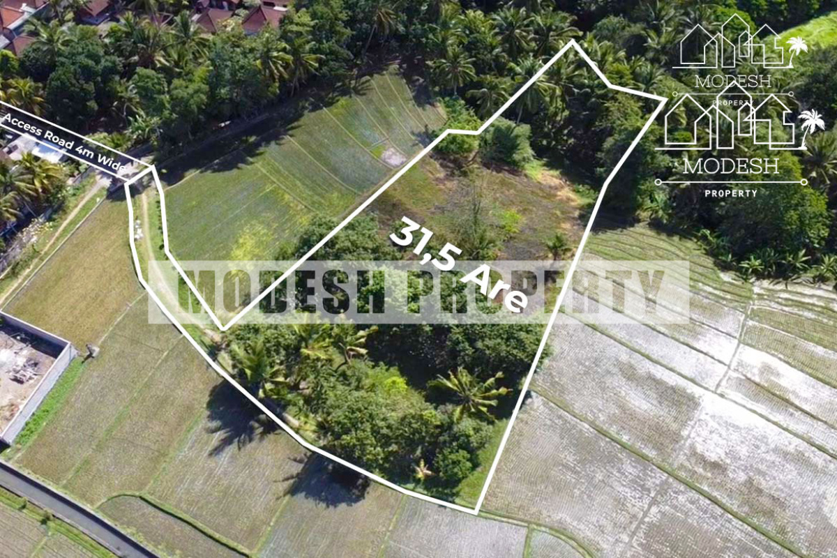 tabanan, ,Land,Freehold Sale,tabanan,1345
