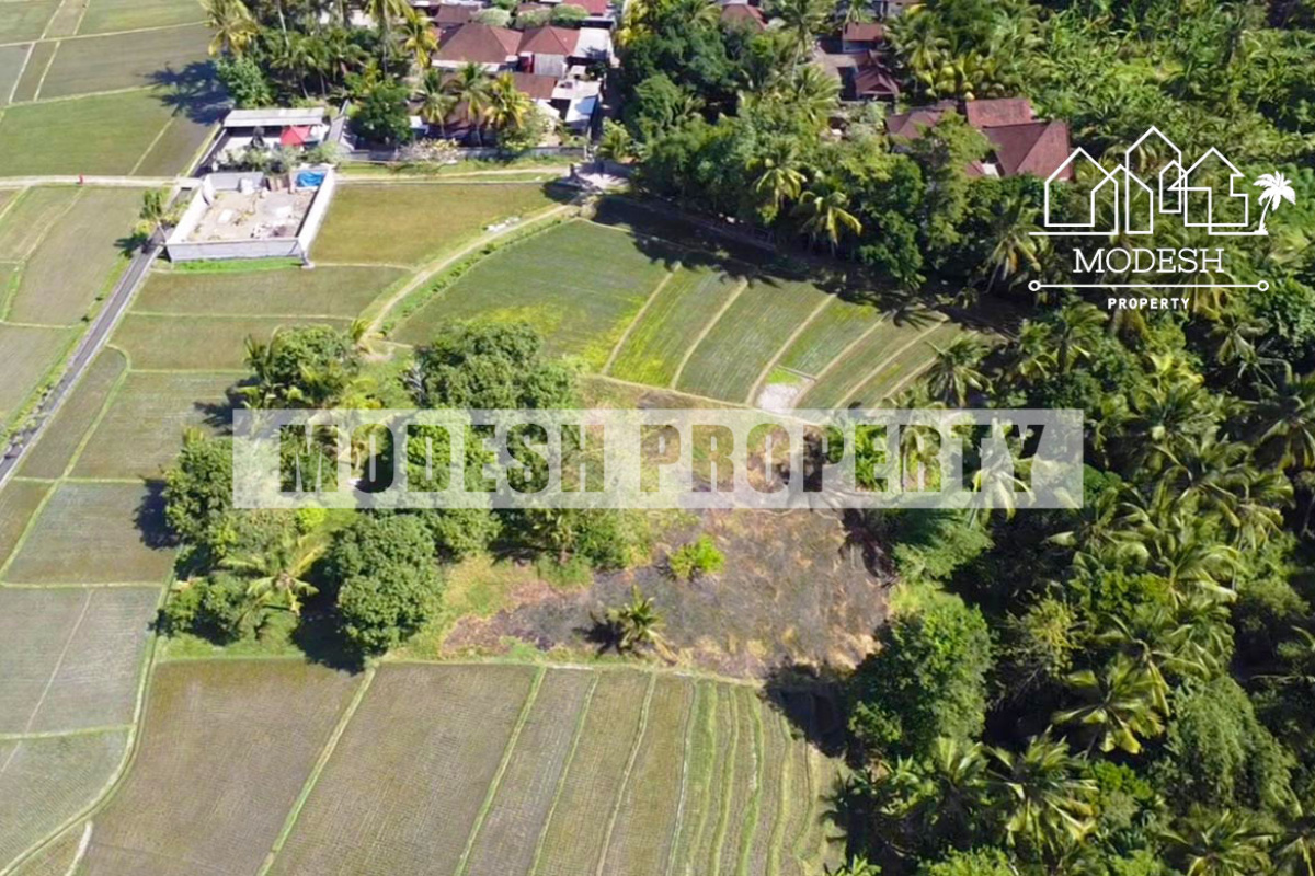 tabanan, ,Land,Freehold Sale,tabanan,1345