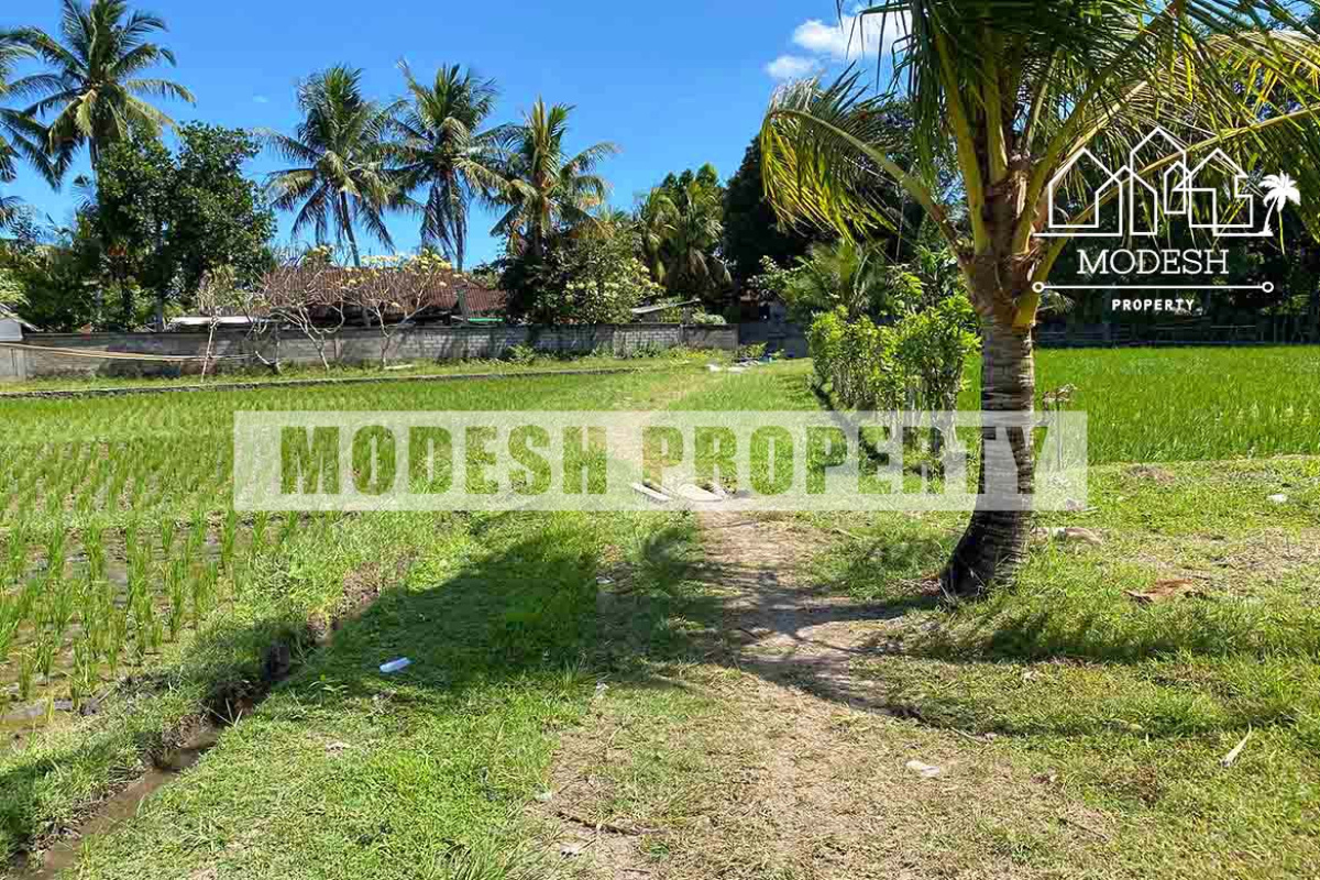 tabanan, ,Land,Freehold Sale,tabanan,1345