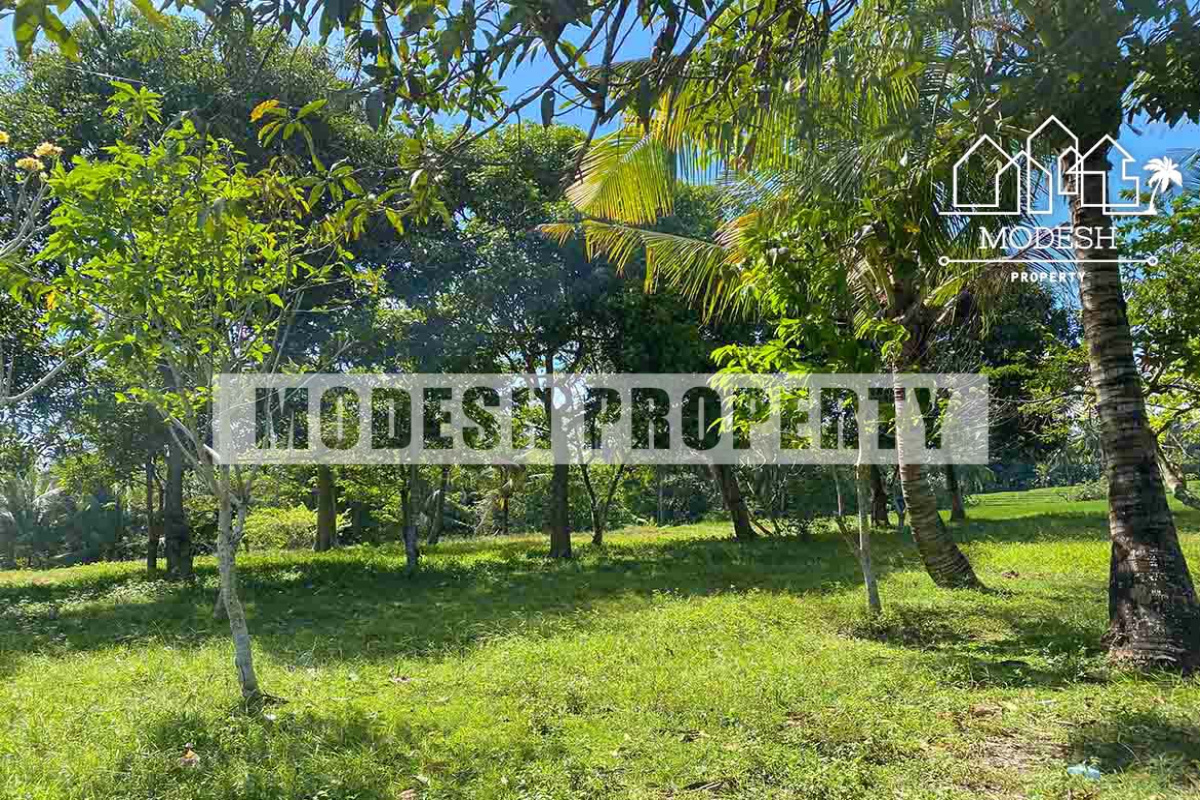 tabanan, ,Land,Freehold Sale,tabanan,1345