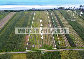 Land,Freehold Sale,1347