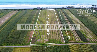 Land,Freehold Sale,1347