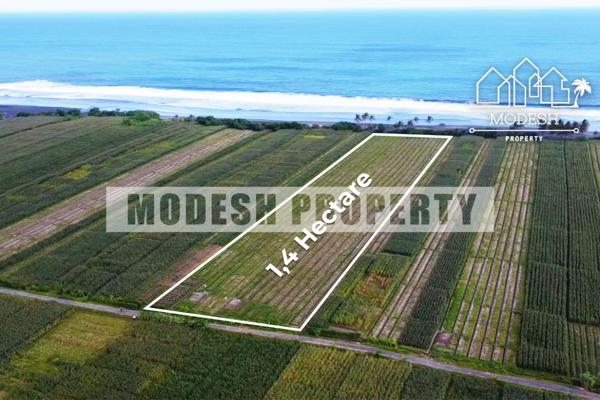 Land,Freehold Sale,1347