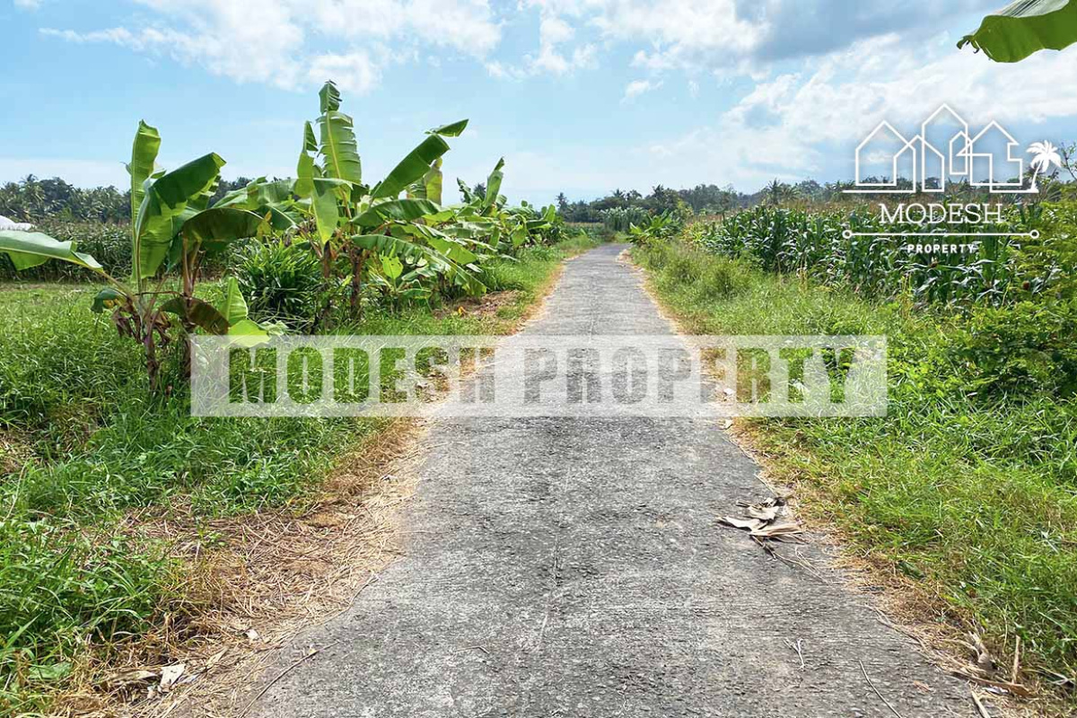 Land,Freehold Sale,1347