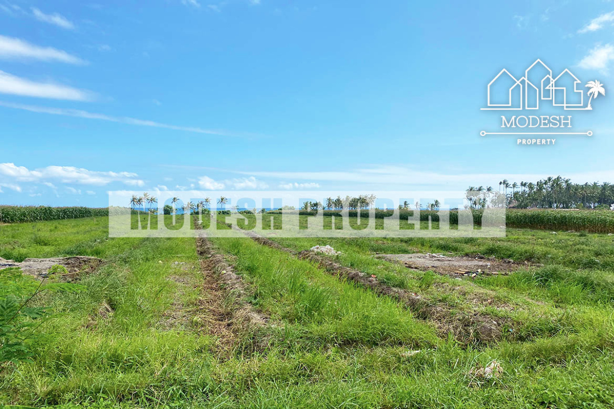Land,Freehold Sale,1347