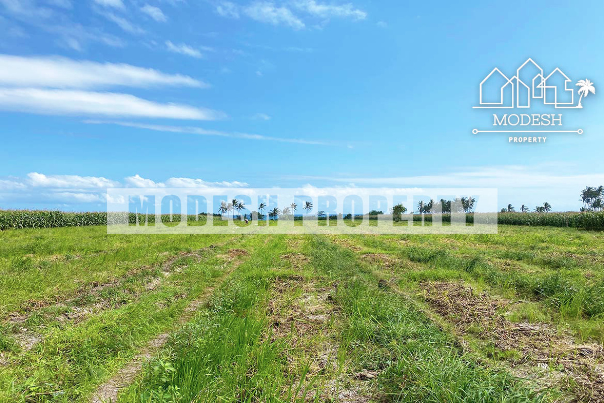 Land,Freehold Sale,1347